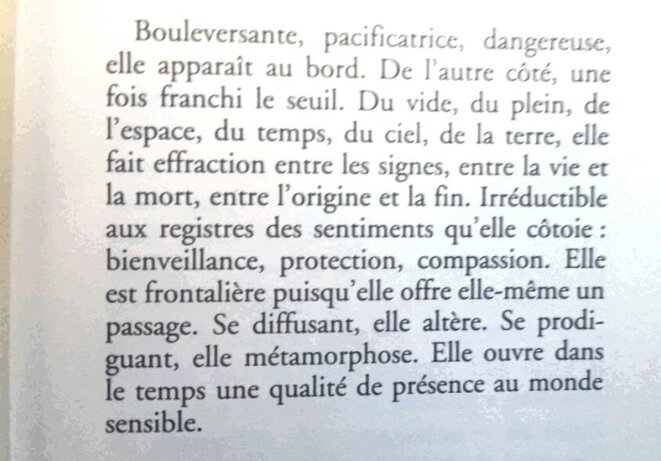 extrait de "Puissance de la douceur" extrait de "Puissance de la douceur"