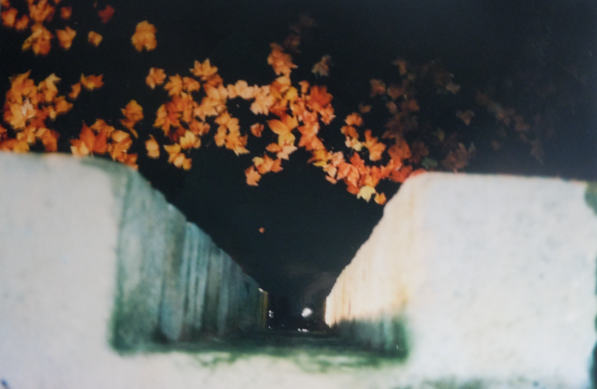 dscn0641-jpg