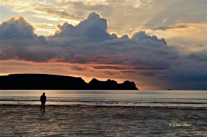 L'homme qui parlait aux mouettes