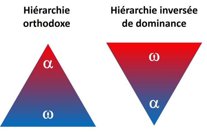 reverse-hierarchy