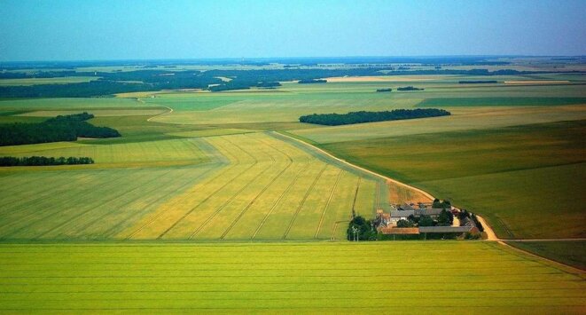 L'américanisation des paysages agricoles en France : une catastrophe écologique © DR L'américanisation des paysages agricoles en France : une catastrophe écologique © DR