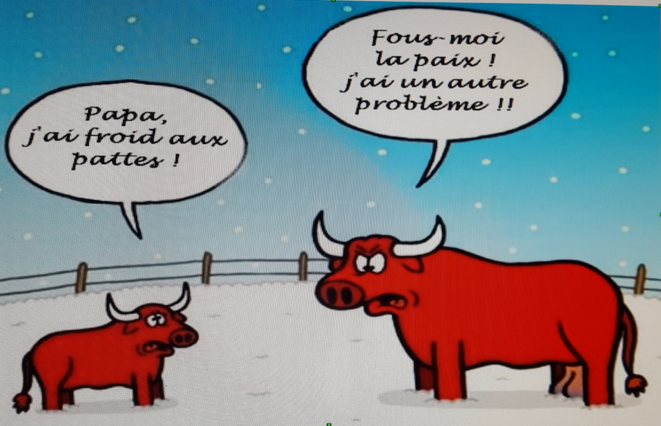 stabulation-libre-5