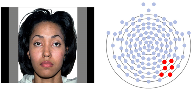 Stimulants faciaux affichant des émotions neutres et sites d'enregistrement d'électrodes EEG. Une réponse du cerveau qui indique que la reconnaissance faciale est retardée lorsque les personnes autistes sont amenées à regarder le nez, les yeux ou la bouche. © Spectrum News Stimulants faciaux affichant des émotions neutres et sites d'enregistrement d'électrodes EEG. Une réponse du cerveau qui indique que la reconnaissance faciale est retardée lorsque les personnes autistes sont amenées à regarder le nez, les yeux ou la bouche. © Spectrum News