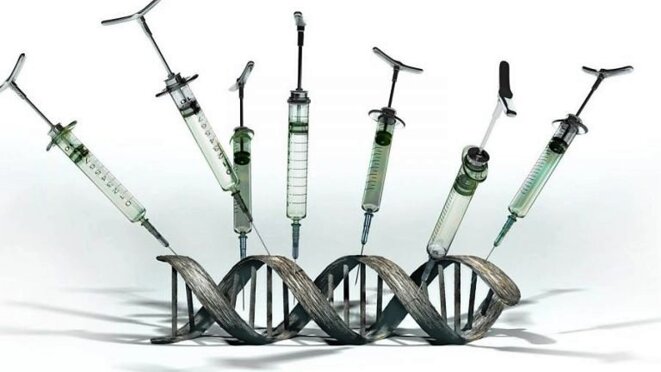 Les vaccins OGM © Criigen Les vaccins OGM © Criigen