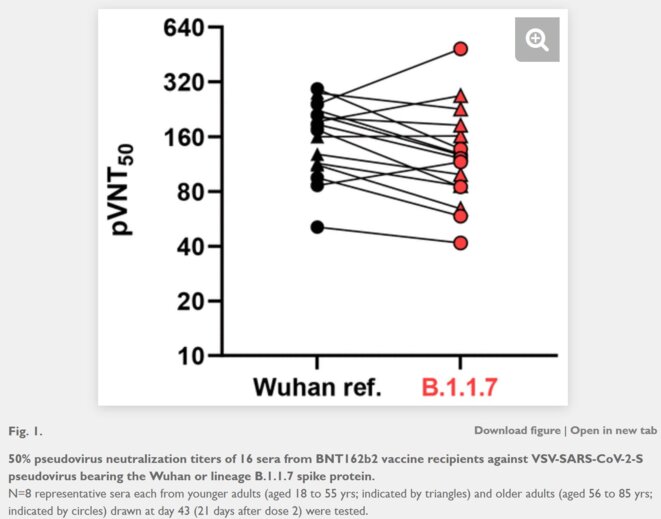 Fig. 1. 50% pseudovirus neutralization titers of 16 sera from BNT162b2 vaccine recipients against VSV-SARS-CoV-2-S pseudovirus bearing the Wuhan or lineage B.1.1.7 spike protein. © Alexander Muik et al doi: https://doi.org/10.1101/2021.01.18.426984 Fig. 1. 50% pseudovirus neutralization titers of 16 sera from BNT162b2 vaccine recipients against VSV-SARS-CoV-2-S pseudovirus bearing the Wuhan or lineage B.1.1.7 spike protein. © Alexander Muik et al doi: https://doi.org/10.1101/2021.01.18.426984