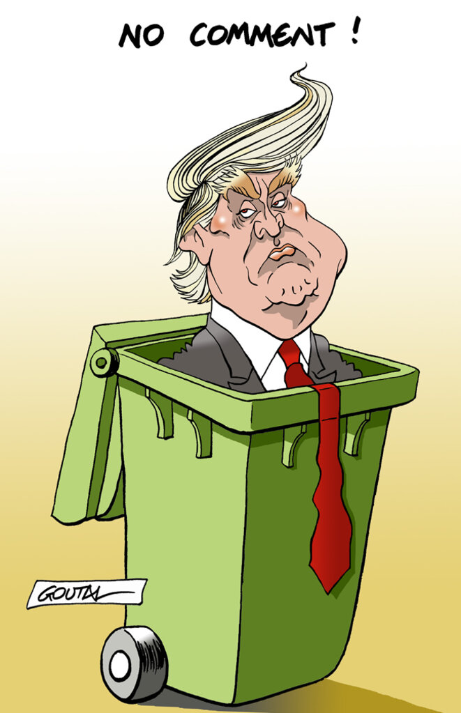 1-aaa-aa-a-donald-poubelle-ds