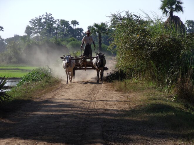 Coup d’État en Birmanie: itinéraire d’un espoir déchu