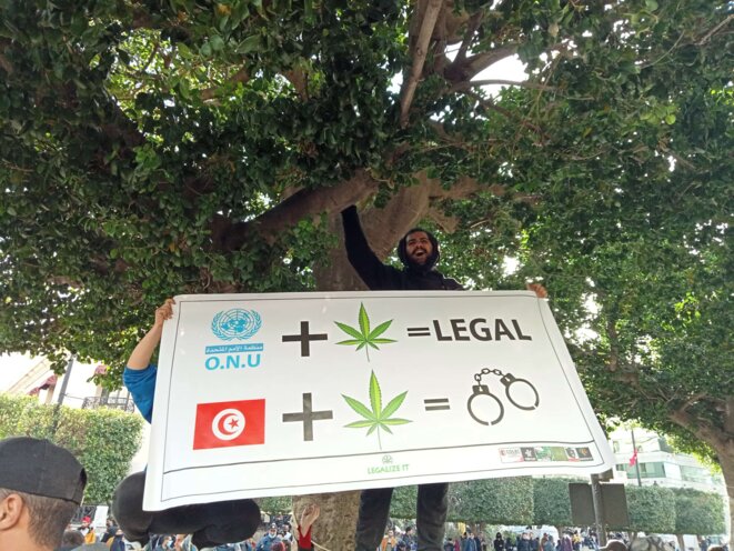 Un manifestant brandit une banderole contre la criminalisation du cannabis. © Aymen Rezgui Un manifestant brandit une banderole contre la criminalisation du cannabis. © Aymen Rezgui