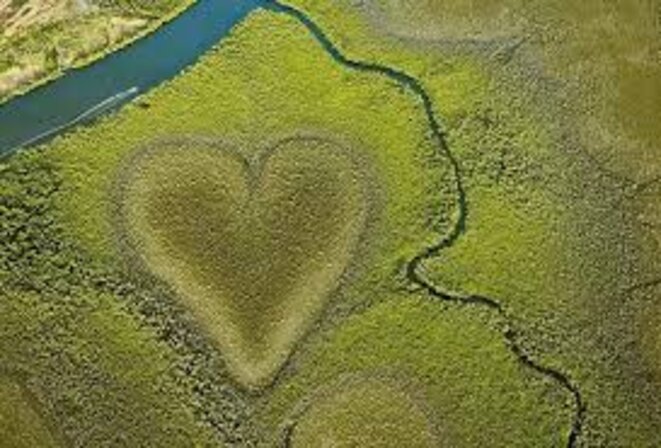 A leurs alibis qui renient notre besoin de démocratie