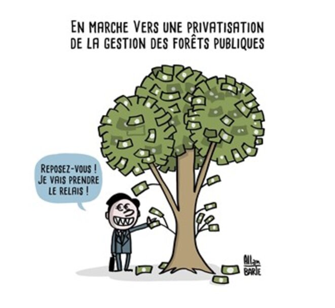 forets