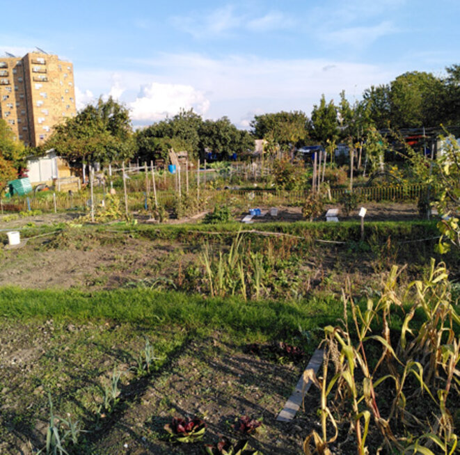 jardins-1