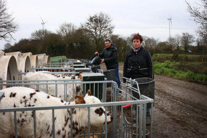 L’élevage du couple Potiron se situe non loin des éoliennes. © Manon Le Charpentier L’élevage du couple Potiron se situe non loin des éoliennes. © Manon Le Charpentier