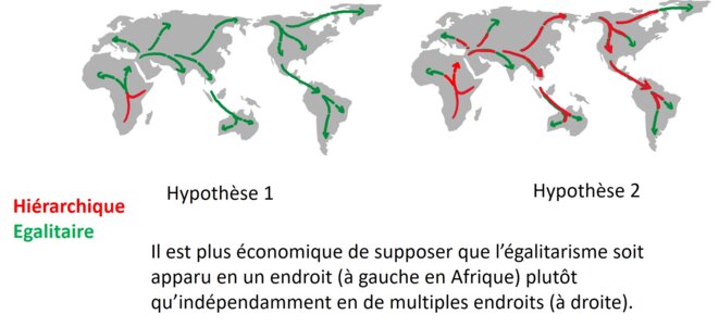 culture-evolution-2