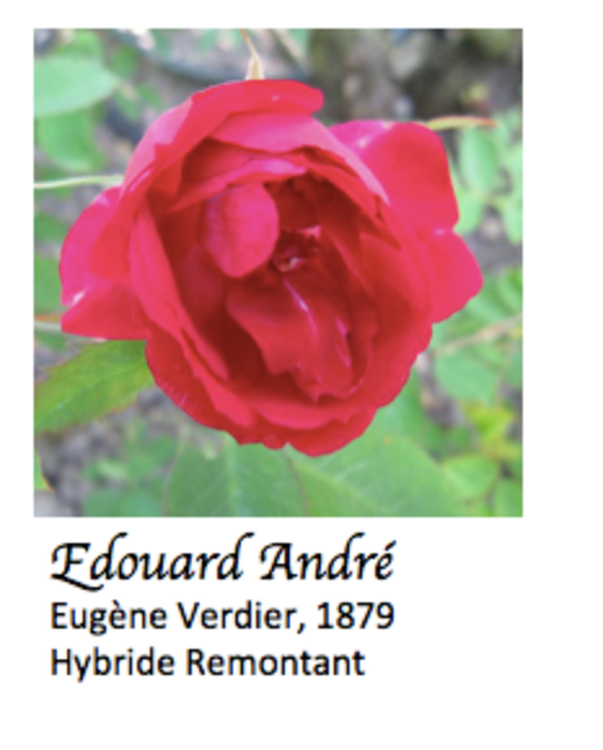 edouard-andre-verdier-1879