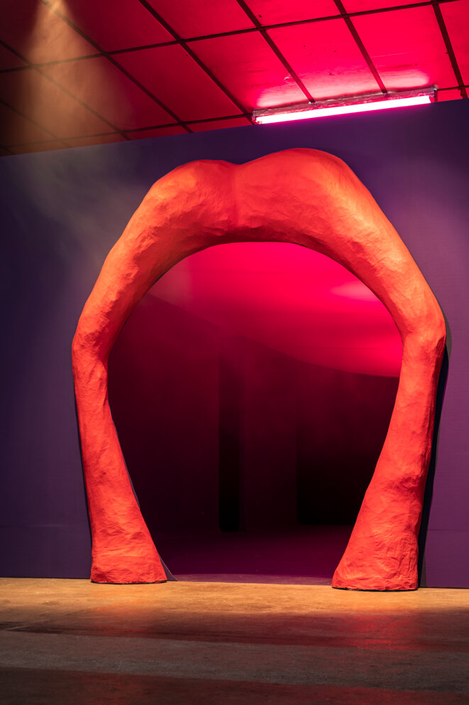 Vue de l’exposition « Gut Feelings. Tellement vitales et si vivantes », Louise Siffert, BBB centre d’art, 2020. Commissaire : Marie Bechetoille. © Photo : Fanny Trichet. Vue de l’exposition « Gut Feelings. Tellement vitales et si vivantes », Louise Siffert, BBB centre d’art, 2020. Commissaire : Marie Bechetoille. © Photo : Fanny Trichet.