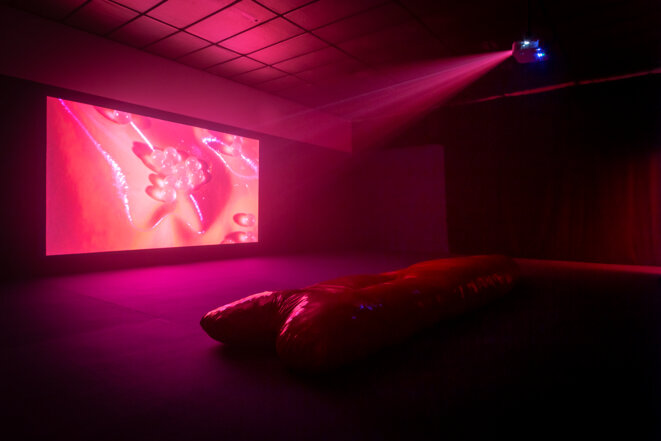 Vue de l’exposition « Gut Feelings. Tellement vitales et si vivantes », Louise Siffert, BBB centre d’art, 2020. Commissaire : Marie Bechetoille. © Photo : Fanny Trichet. Vue de l’exposition « Gut Feelings. Tellement vitales et si vivantes », Louise Siffert, BBB centre d’art, 2020. Commissaire : Marie Bechetoille. © Photo : Fanny Trichet.