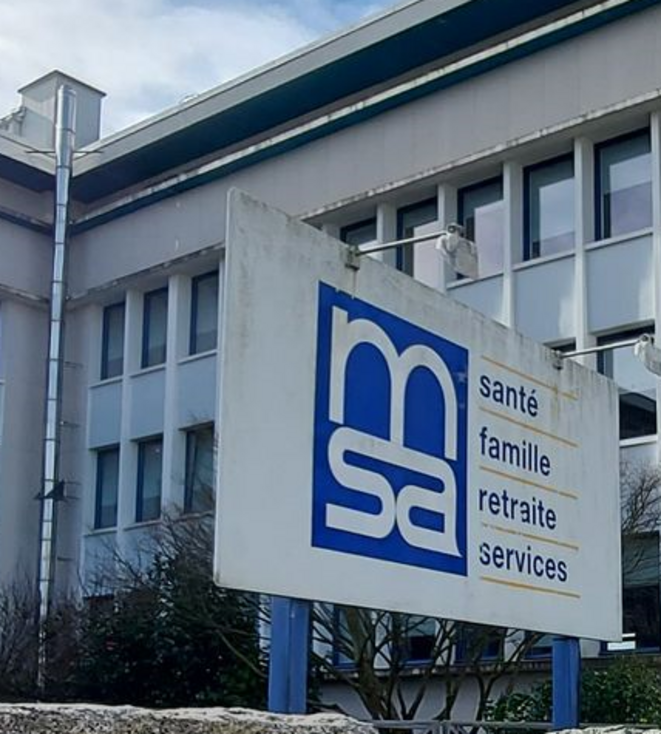 msa-7