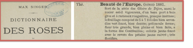 singer-titre-et-texte-pour-blog
