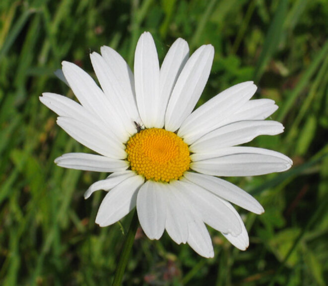 C’est triste mais c’est comme ça