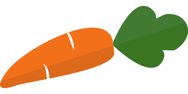carrot-1751148