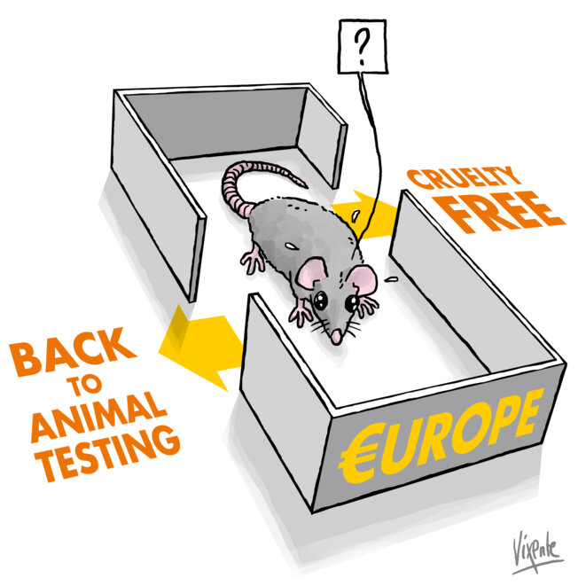 UE: Les tests de cosmétiques sur les animaux persistent malgré leur interdiction