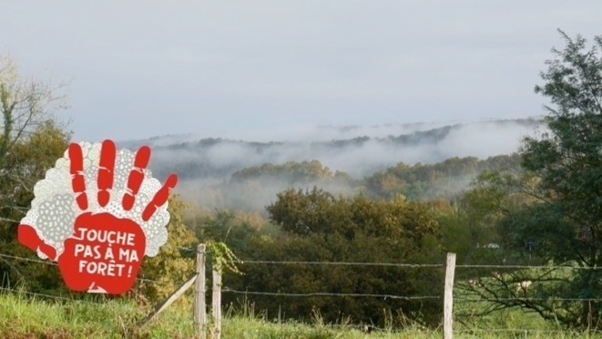 Pétition "Touche pas à ma forêt" | Change.org © Collectif Touche Pas à Ma Forêt-Pyrénées Pétition "Touche pas à ma forêt" | Change.org © Collectif Touche Pas à Ma Forêt-Pyrénées