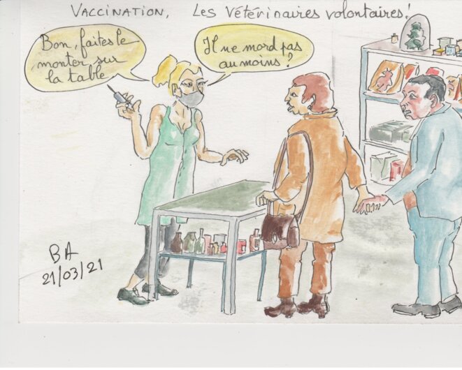 piqure et vétérinaire