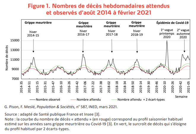  © Capture d’écran Ined