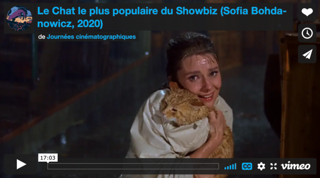 Capture d'écran "Le Chat le plus populaire du Showbiz" Capture d'écran "Le Chat le plus populaire du Showbiz"
