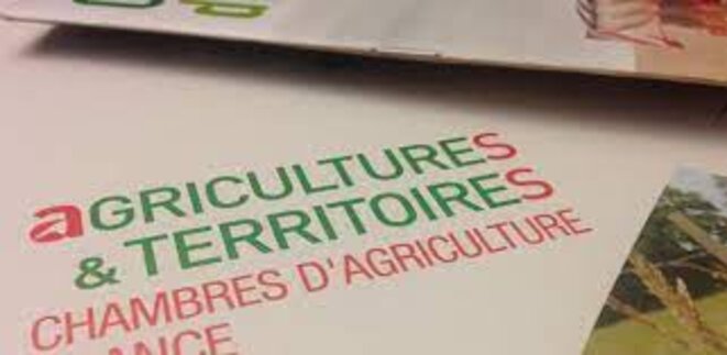 Le dernier rapport de la Cour des comptes concernant le réseau des Chambres d'agriculture, publié en mars 2021, pointe un pilotage inefficace, une organisation coûteuse, une absence de suivi des activités et appelle à une meilleure maîtrise des dépenses. Le dernier rapport de la Cour des comptes concernant le réseau des Chambres d'agriculture, publié en mars 2021, pointe un pilotage inefficace, une organisation coûteuse, une absence de suivi des activités et appelle à une meilleure maîtrise des dépenses.