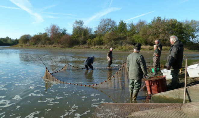 peche-etang-sologne