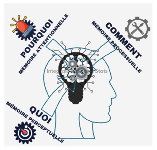 Une écologie de l’apprentissage et de la transmission pour renaitre de l’indigence