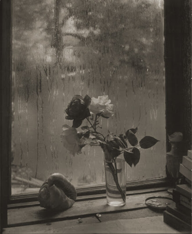 © Josef Sudek © Josef Sudek