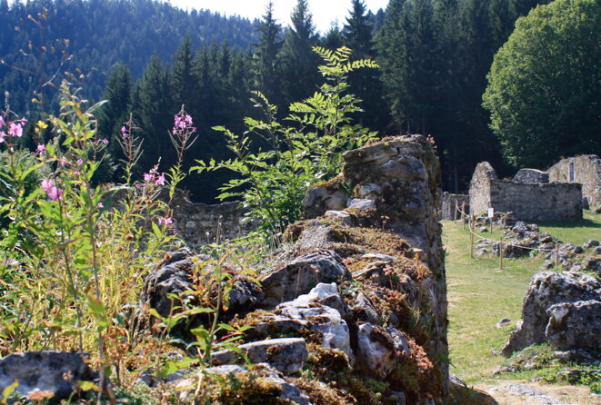 Ruines de Valchevrière dans le Vercors © Patrice Morel