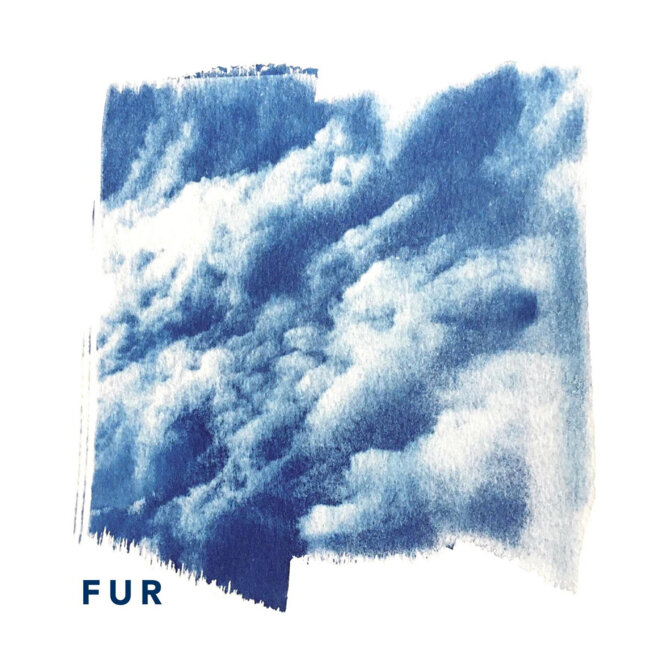 fur