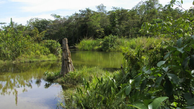 C'est aux abords de ce cours d'eau qu'un drame aurait pu se jouer C'est aux abords de ce cours d'eau qu'un drame aurait pu se jouer