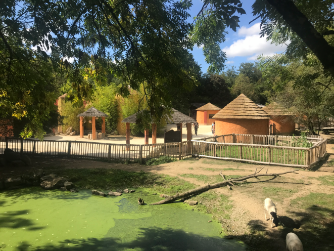 Le parc aujourd'hui, rebaptisé Planète Sauvage après son rachat. © JCR et NS