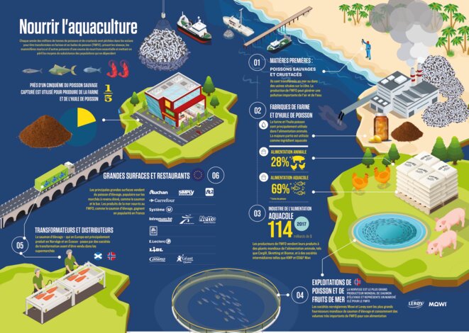 Infographie - Nourrir l'aquaculture © ©Changing Markets Infographie - Nourrir l'aquaculture © ©Changing Markets