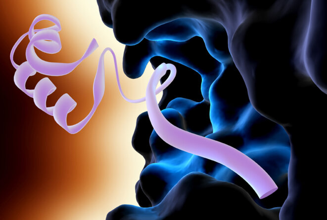 © Kenneth Eward / Biografx / Science Photo Library © Kenneth Eward / Biografx / Science Photo Library