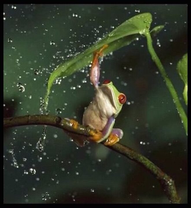 Petite pluie abat les tourments