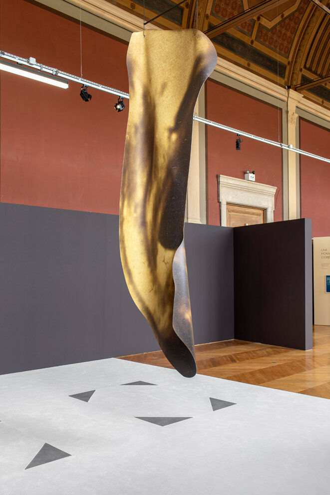 Vue de l'exposition Tout me trouble à la surface, Éléonore False, 2021 Commissaire de l'exposition : Kathy Alliou Palais des Beaux-Arts, Paris © Crédit photo : Nicolas Brasseur Vue de l'exposition Tout me trouble à la surface, Éléonore False, 2021 Commissaire de l'exposition : Kathy Alliou Palais des Beaux-Arts, Paris © Crédit photo : Nicolas Brasseur