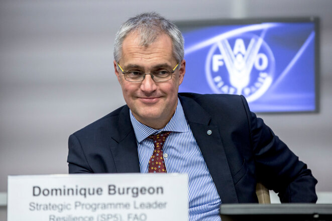 freddy-mulongo-dominique-burgeon