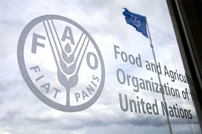 freddy-mulongo-fao
