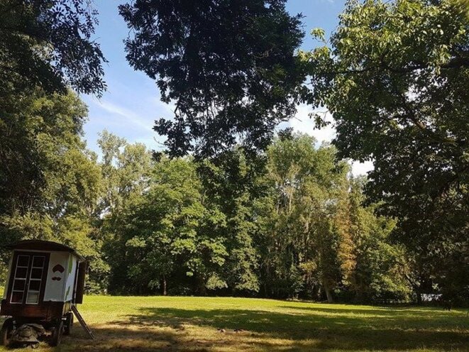 Clairière dans la forêt de Kolbsheim détruite en 2018 par Vinci pour construire le GCO Clairière dans la forêt de Kolbsheim détruite en 2018 par Vinci pour construire le GCO