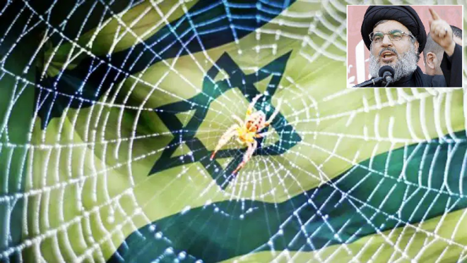 spider-web