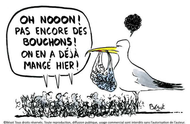 Le plastique, c'est pas fantastique