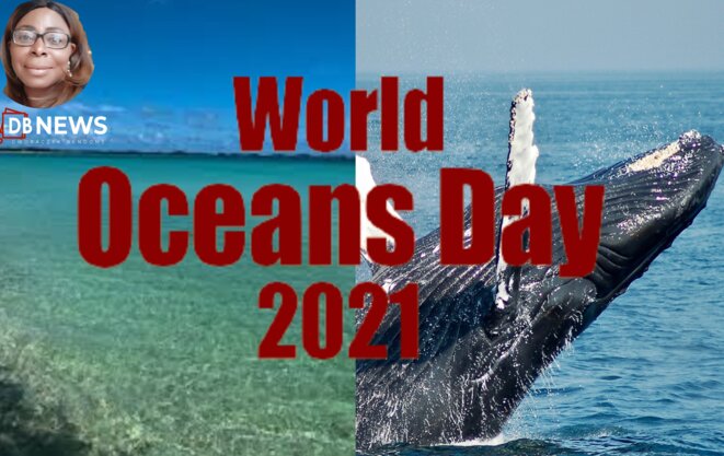 DBNEWS, Journée mondiale des océans 2021 DBNEWS, Journée mondiale des océans 2021