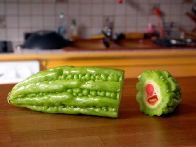 concombre-amer