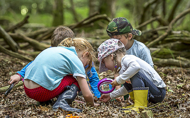 Une forest school au Danemark Une forest school au Danemark
