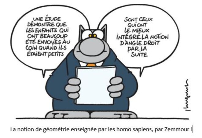 la-geometrie-presentee-par-zemmour